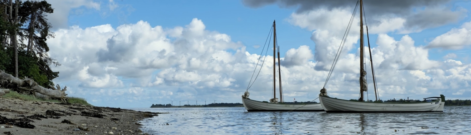 GIslingebåden_1920 Motiv med skibe ved Isefjordens kyst